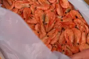 кревеки видео обзор на размер 150