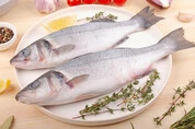 рыба сибас