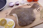 камбала