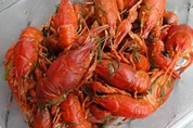 раки с укропом